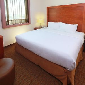 One-Bedroom King Suite